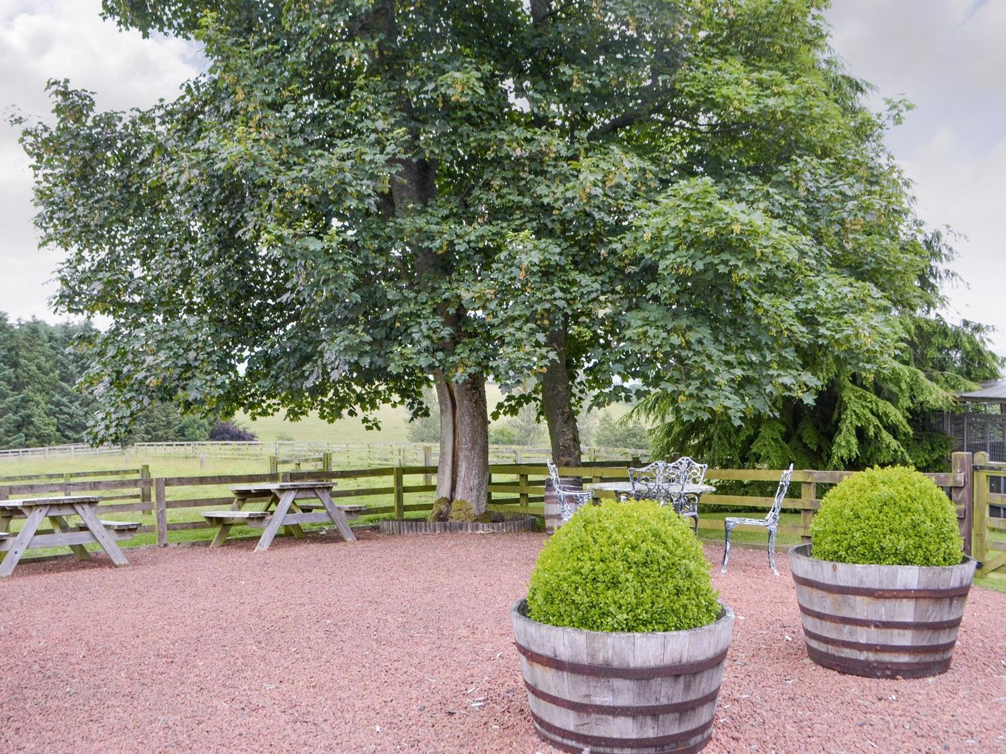 Piglet Cottage Elsdon Екстер'єр фото